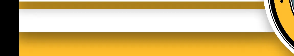 Figure for Capital Budget Introduction