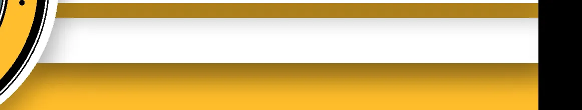 Figure for Capital Budget Introduction