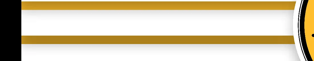 Figure for Capital Budget Introduction
