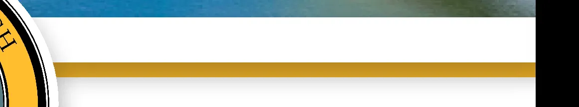 Figure for Capital Budget Introduction